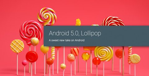 lolli-820x420