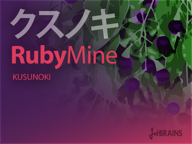 RubyMine