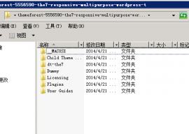 wordpress The7 神主题使用教程之安装（一） 1