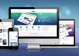 wordpress The7 神主题使用教程之安装（一） 2