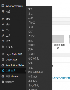 wordpress The7神主题使用教程之（三）主题选项 3