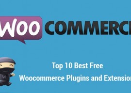 10大最佳免费WooCommerce的插件和扩展(wp电子商务系统) 11
