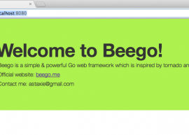 beego 1.4.0 版本发布下载  Go 应用框架 1