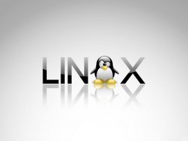 Linux Kernel 3.16.1/3.15.10 发布下载 