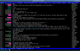 WeeChat 1.0 正式发布下载  轻量级 IRC 客户端 