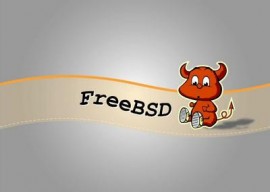 FreeBSD 10.1-RC2 发布  FreeBSD 10.1-RC2下载 
