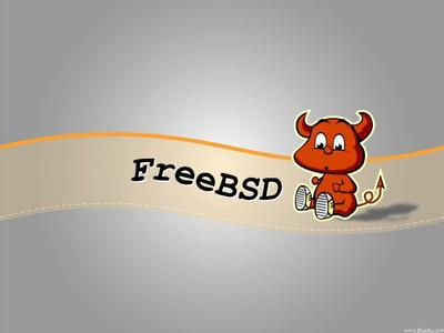 FreeBSD 10.1-RC2 发布  FreeBSD 10.1-RC2下载 