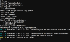 Fig 1.0 发布  Fig 1.0下载 2