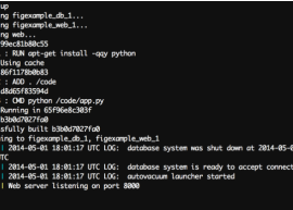 Fig 1.0 发布  Fig 1.0下载 2
