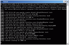 Apache Tomcat Native 1.1.32 发布下载 