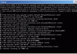 Apache Tomcat Native 1.1.32 发布下载 