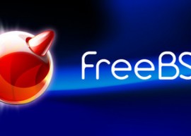 FreeBSD 10.1 正式版发布  FreeBSD 10.1下载 