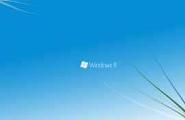 Google 又公开了一个未修复 Windows 漏洞 