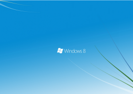 Google 又公开了一个未修复 Windows 漏洞 