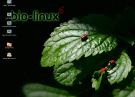 Bio-Linux 8.0.5发布  生物分析工作站 