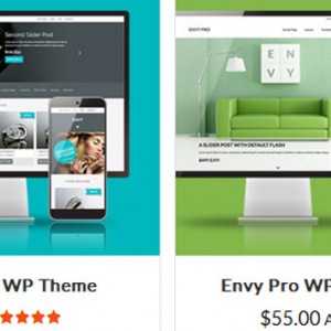 Envy-Envy-Pro-Genesis-Child-Themes