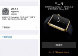 iOS 8.2 正式发布 支持 Apple Watch 