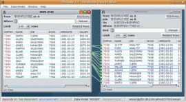 DBeauty 2.2.4/2.2.5 发布 数据关系浏览器 