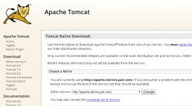 Apache Tomcat Native 1.1.33 发布 