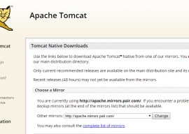Apache Tomcat Native 1.1.33 发布 