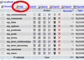 轻松更改WordPress的数据库前缀 1