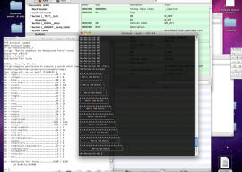 Red language 0.5.2 发布 新工作台和错误支持 