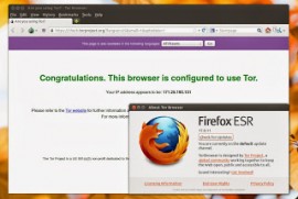 Tor Browser 4.5 发布 