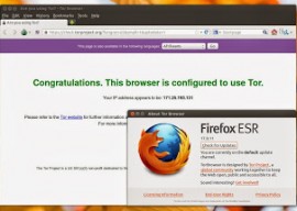 Tor Browser 4.5 发布 
