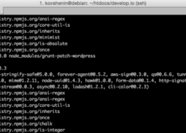WordPress 4.3 将用 Node.js 重写 