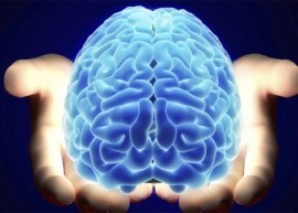 Nervana 开源深度学习软件 性能超 Facebook、Nvidia产品 