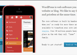 WordPress 4.2.2 升级优化教程 4