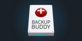 BackupBuddy