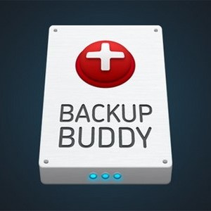 BackupBuddy