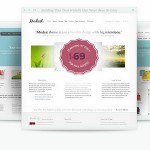 Full-Themes-Plugins-