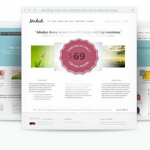 Full-Themes-Plugins-