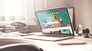 平台功能型网站设计定制