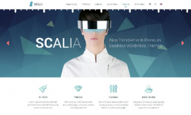 响应式网站建设