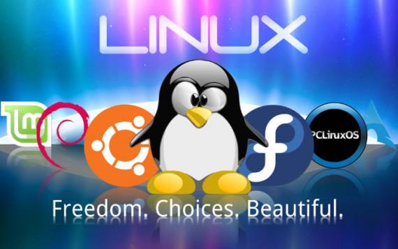 为什么高手离不了 Linux 系统?-芊雅企服