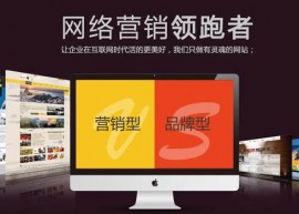 品牌网站建设