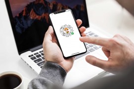 飞兔优选 – 土特产平台