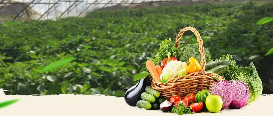 123134qa0zabsthl5hqtdj