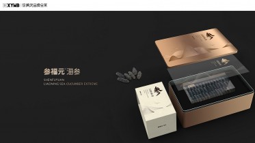 徐勇武品牌全案