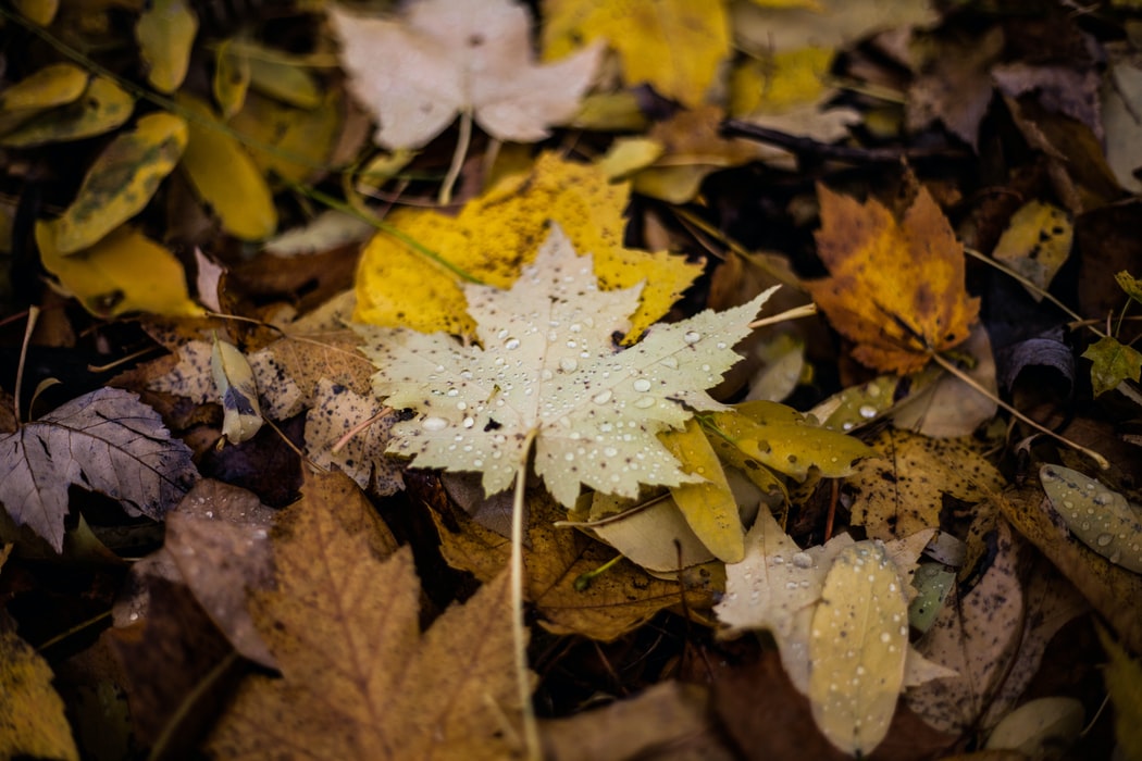 影视资讯APP开发,给用户带来更多便捷的服务-芊雅企服